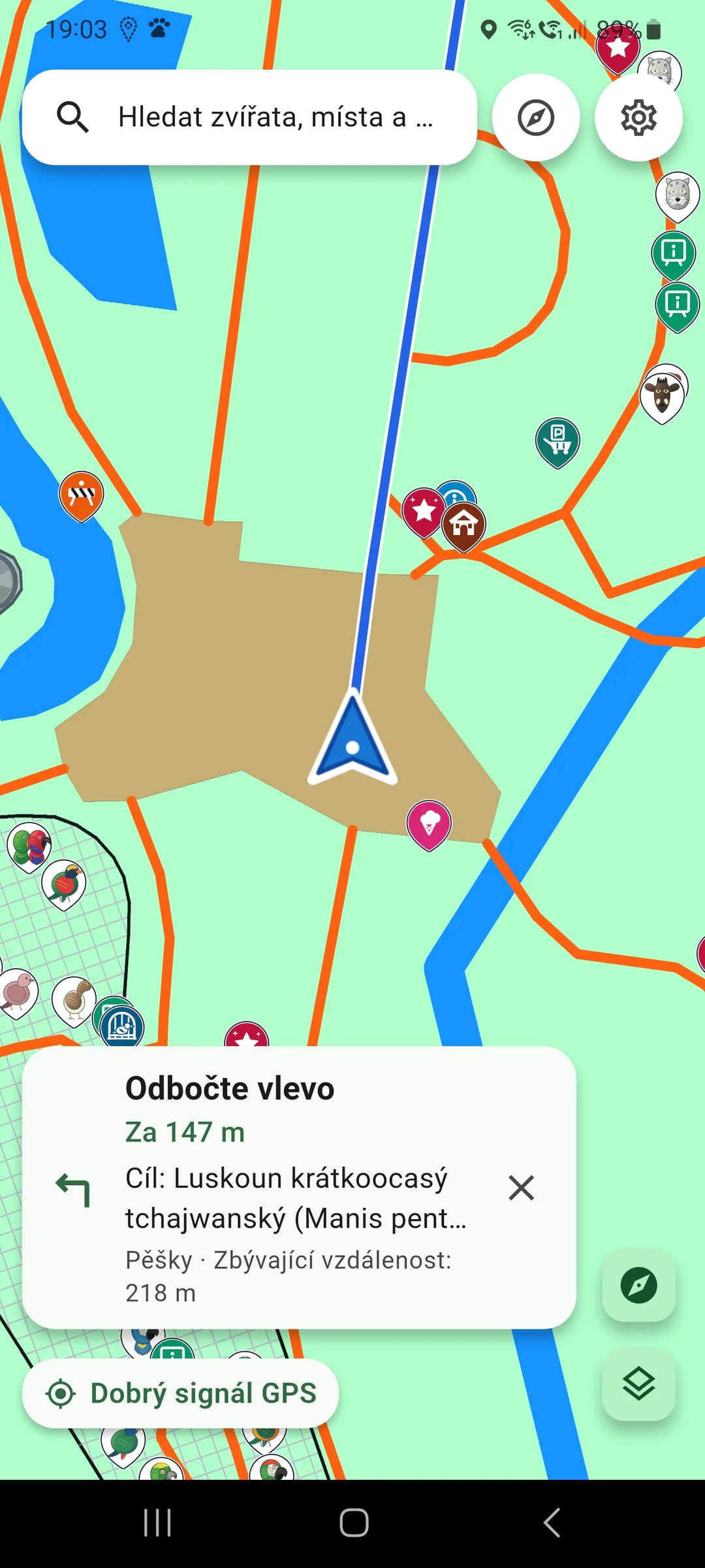 Pěší navigace