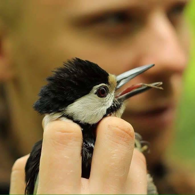 Piotr Piliczewski mit einem Vogel